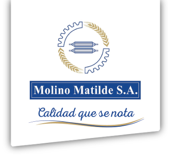 Logo MATILDE.png